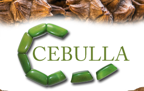 Cebulla